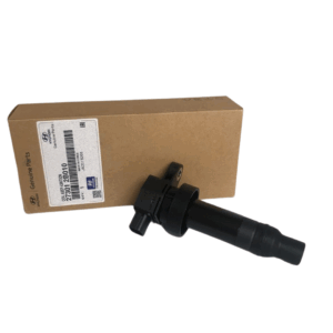 BOBINA INDIVIDUAL  27301-2B010